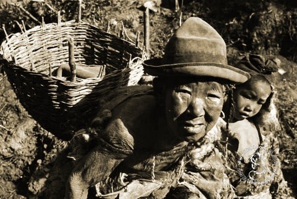 ũūƶʼ10ͣ1959ĸ˶ʱϳ