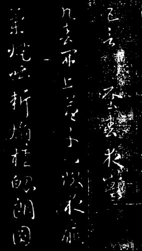 ܻʵּ