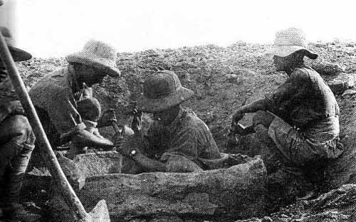 1918꣬սУǹӪľ˵