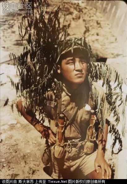 <p>йӿսع(13)</p>