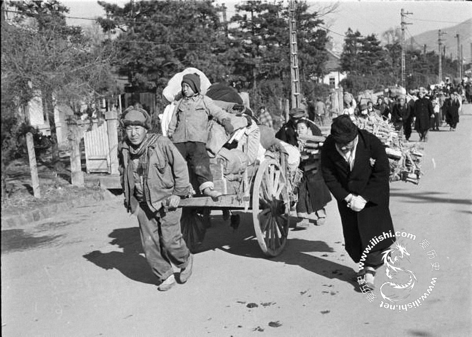 <p>1951гӽ (17)</p>