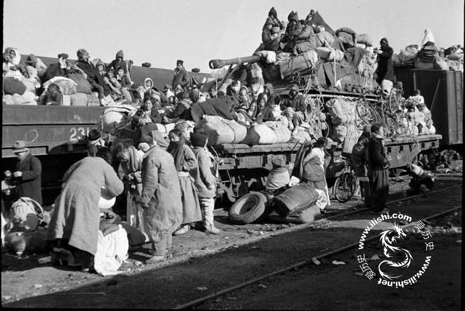<p>1951гӽ (15)</p>