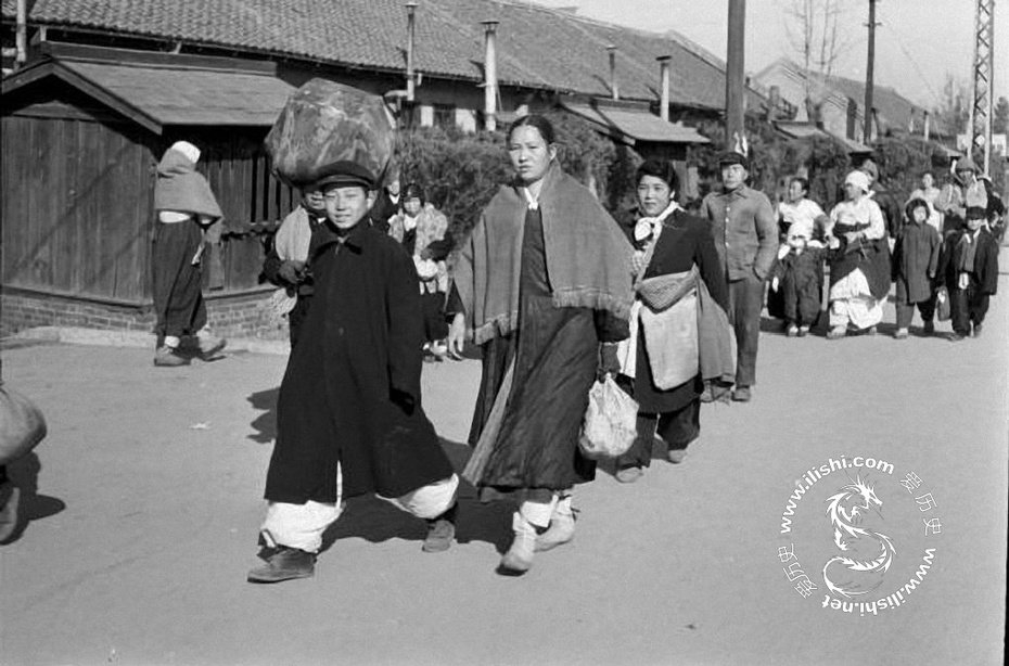 <p>1951гӽ (12)</p>